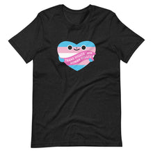 Load image into Gallery viewer, Trans Rights are Human Rights Unisex Tee